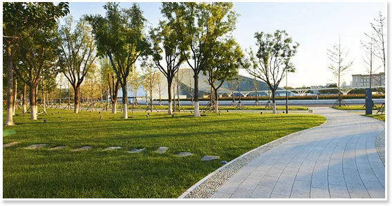 黑龙江园林养护品