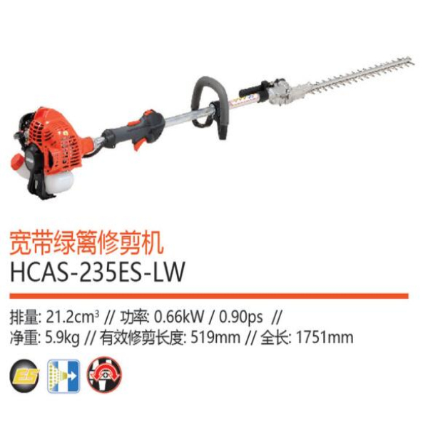 通河专业花籽价格